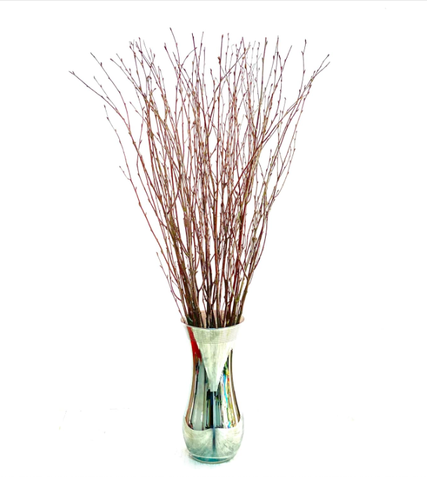 Ramas de abedunatural para la decoración de jarros - ramas secas rúspara centros de centro, artesanías, bodas y arreglos estacionales