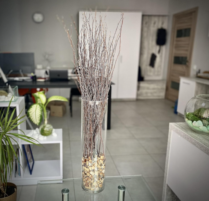 Ramas de abedunatural para la decoración de jarros - ramas secas rúspara centros de centro, artesanías, bodas y arreglos estacionales